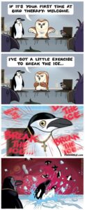 Stupid Bar Memes sgq4nqyykpz61