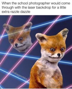 Stupid Bar Memes ss23sZYd8yr