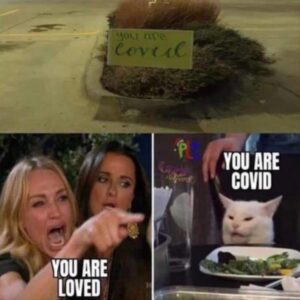 Stupid Bar Memes ssb15b3