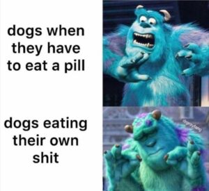 Stupid Bar Memes ssb92b1