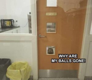 Stupid Bar Memes ssb98