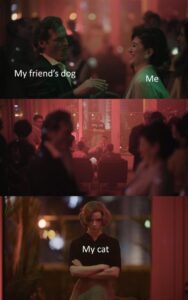 Stupid Bar Memes sss15s13