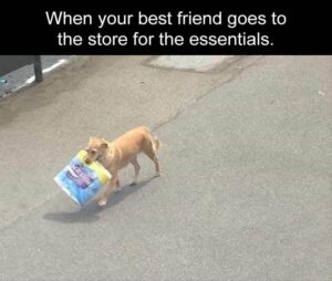 Stupid Bar Memes stupidbarsb28b2