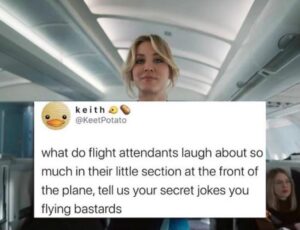 Stupid Bar Memes the flight attendant