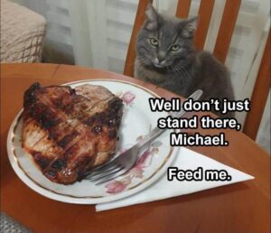 Stupid Bar Memes the funny animal memes 12