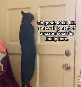Stupid Bar Memes the funny animal memes 2