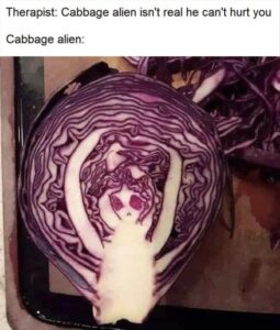 Stupid Bar Memes thebcabbage