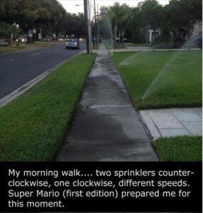 Stupid Bar Memes thessprinklerssystem