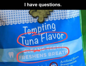 Stupid Bar Memes whenbIbhavebquestions