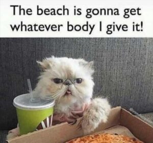 Stupid Bar Memes whenbyoubgobtobthebbeach