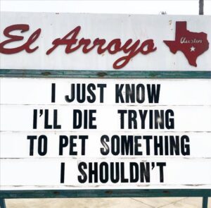 Stupid Bar Memes whenbyoubpetbthings