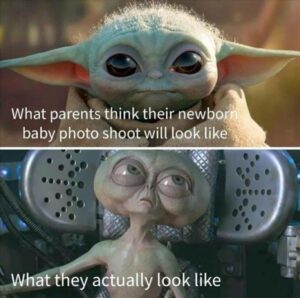 Stupid Bar Memes whenbyoubseebthebphotoshoot
