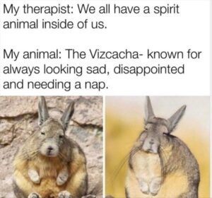 Stupid Bar Memes whensyoushavesasspiritsb