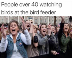 Stupid Bar Memes whensyouswatchingsthesbirds