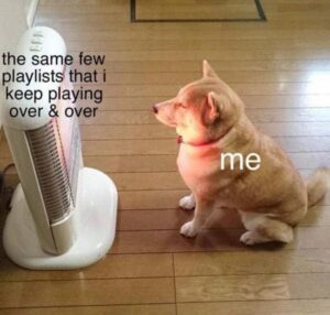 Stupid Bar Memes wholesomebssb05b12b21b2wtmk