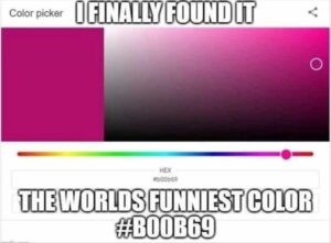 Stupid Bar Memes youbfindbthebfunniestbcolor