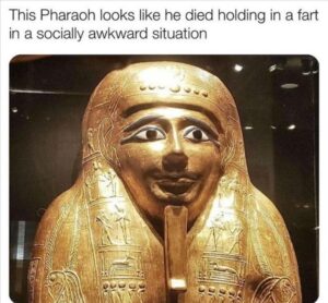 Stupid Bar Memes yourbpharoh