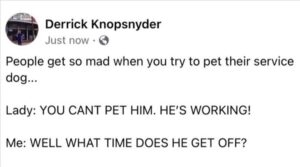 Stupid Bar Memes yoursdog