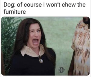 Stupid Bar Memes yz 3 10