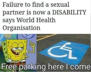 Stupid Bar Memes yzb9b3