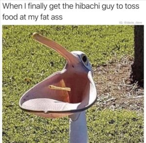 Stupid Bar Memes yzs7s9