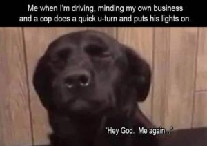 Stupid Bar Memes z memes 120 2