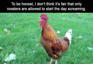 Stupid Bar Memes z memes 35 6