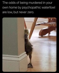 Stupid Bar Memes z memes 4 9