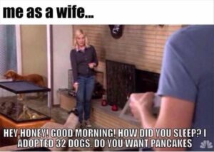 Stupid Bar Memes z memes 75 2