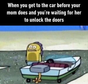 Stupid Bar Memes zbmemesb60b3