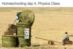 Stupid Bar Memes zbssb12b2