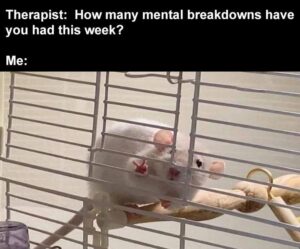 Stupid Bar Memes zbssb191