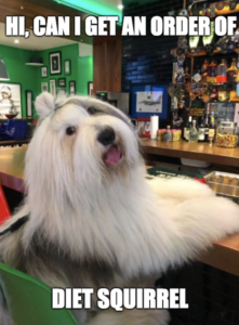 Stupid Bar Memes zbssb3b1