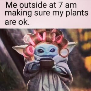Stupid Bar Memes zsbs22