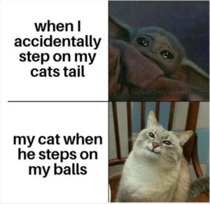 Stupid Bar Memes zsbs35