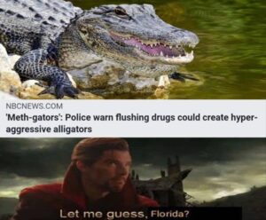 Stupid Bar Memes zsbs37