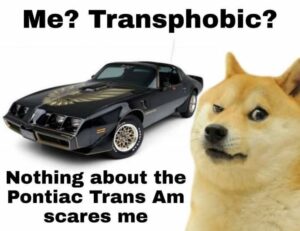 Stupid Bar Memes 2f84b8b7b46cf206
