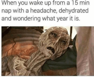 Stupid Bar Memes 3e0d53ef1ccd9acb