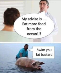 Stupid Bar Memes 7b2d4dd27cd74810