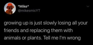 Stupid Bar Memes 86339464