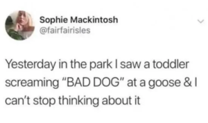 Stupid Bar Memes 86339467