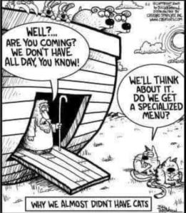 Stupid Bar Memes 9fcec81f99d40364