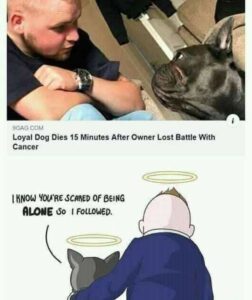Stupid Bar Memes a6245fd030f811da