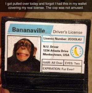 Stupid Bar Memes bss77s8