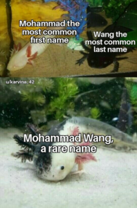 Stupid Bar Memes d789e8a27c50e3db