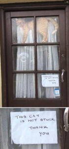 Stupid Bar Memes funnysbsmemess20s7s702x1500