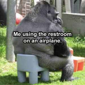 Stupid Bar Memes whensyousgottasgo