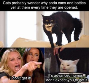 Stupid Bar Memes yzs7