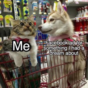 Stupid Bar Memes yzs8