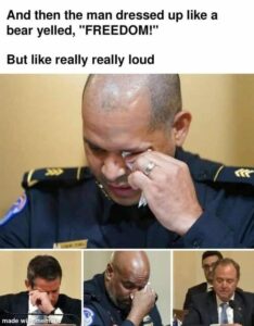 Stupid Bar Memes 19fd6778db2bbfc4
